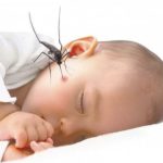 Cara Menghilangkan Bekas Gigitan Nyamuk Pada Bayi Secara Alami
